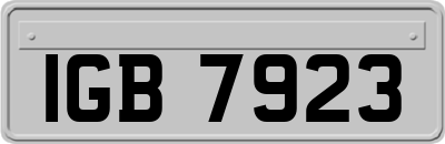 IGB7923