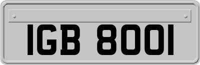 IGB8001