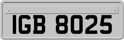 IGB8025