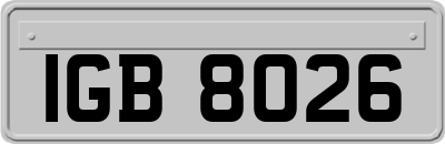 IGB8026