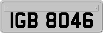 IGB8046