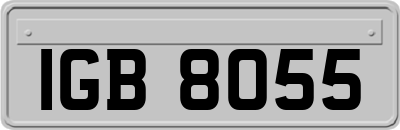 IGB8055