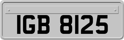 IGB8125
