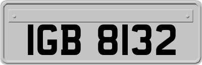 IGB8132