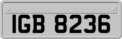 IGB8236