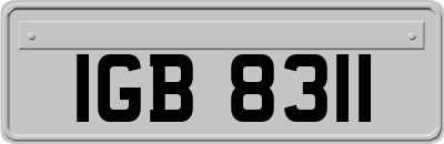 IGB8311