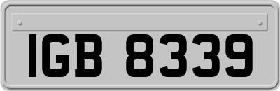 IGB8339