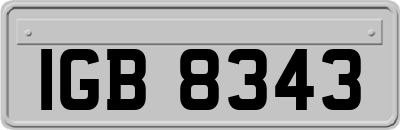 IGB8343
