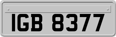 IGB8377