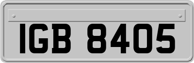 IGB8405