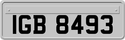 IGB8493