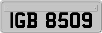 IGB8509