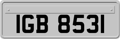 IGB8531