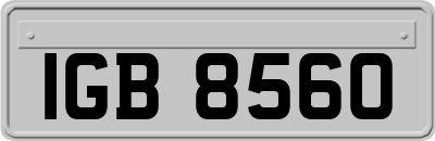 IGB8560