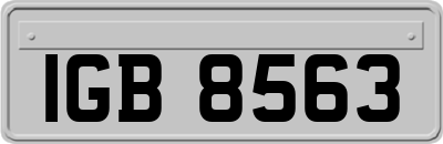 IGB8563