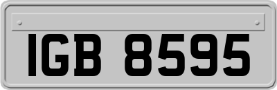IGB8595