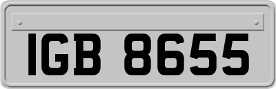 IGB8655