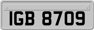 IGB8709