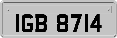 IGB8714