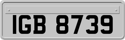 IGB8739