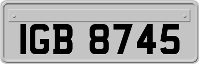IGB8745