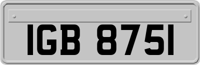 IGB8751