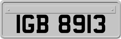 IGB8913