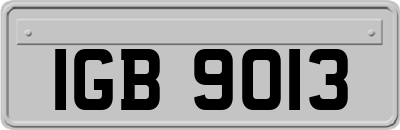 IGB9013