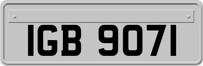 IGB9071