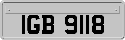 IGB9118