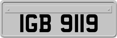 IGB9119