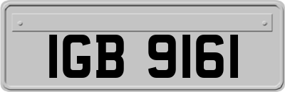 IGB9161