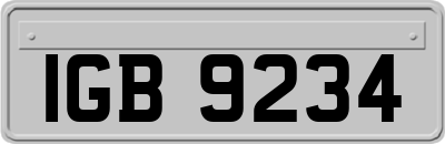 IGB9234