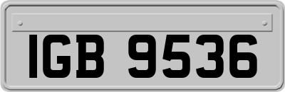 IGB9536