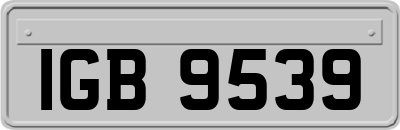IGB9539