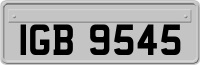 IGB9545