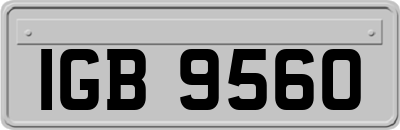 IGB9560