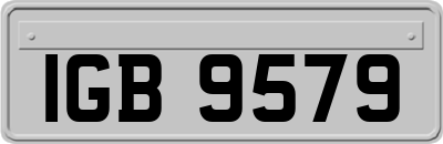 IGB9579