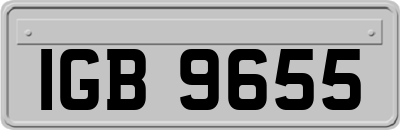 IGB9655