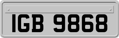IGB9868