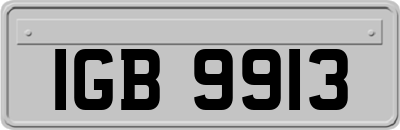IGB9913