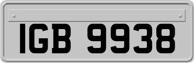IGB9938