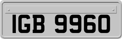 IGB9960