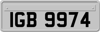 IGB9974