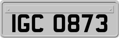 IGC0873