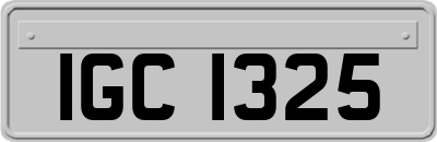 IGC1325