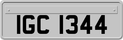 IGC1344