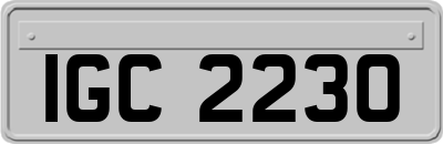 IGC2230