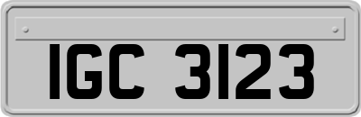 IGC3123