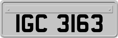 IGC3163